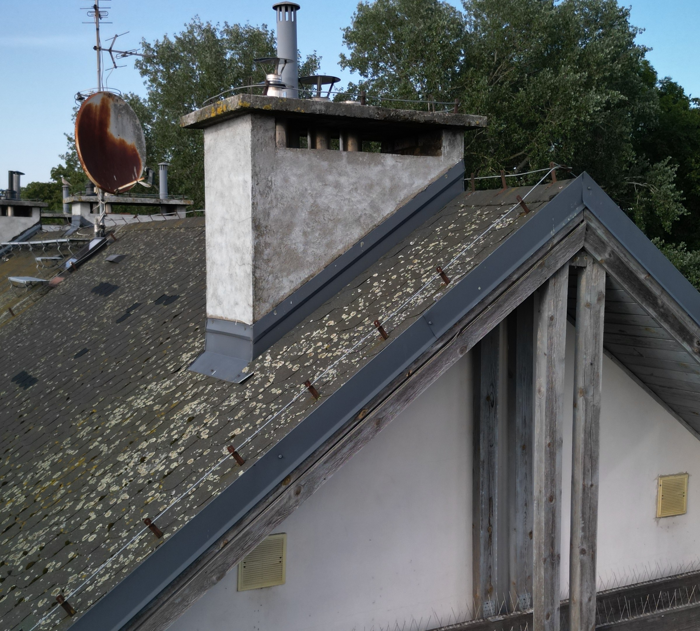 Roof view with chimneys and aerials; one metal satellite dish shows extensive rust and light-coloured deposits are visible on the covering.